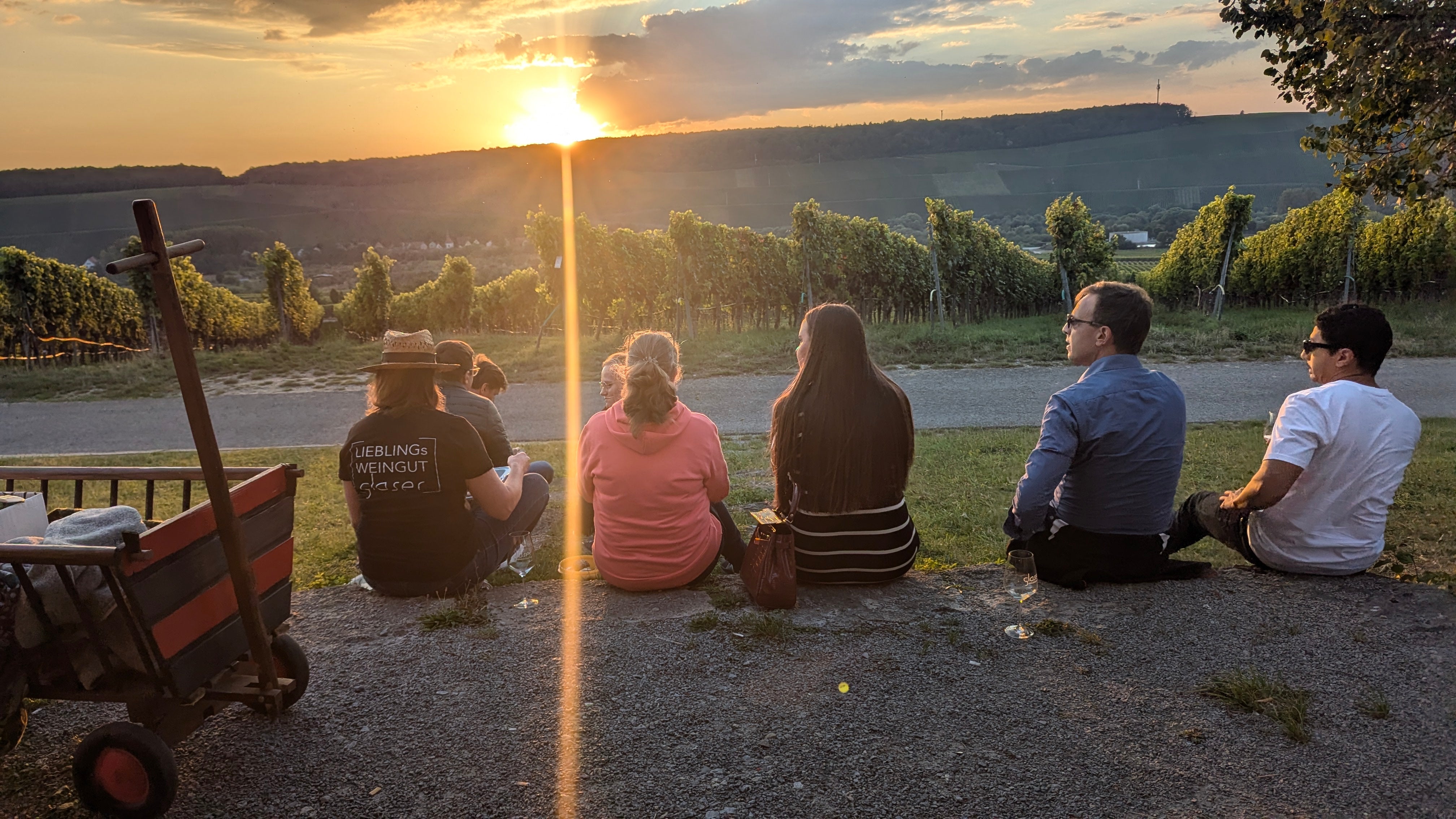 die WEINBERGs.WANDERUNG Wein erleben dort wo er wächst