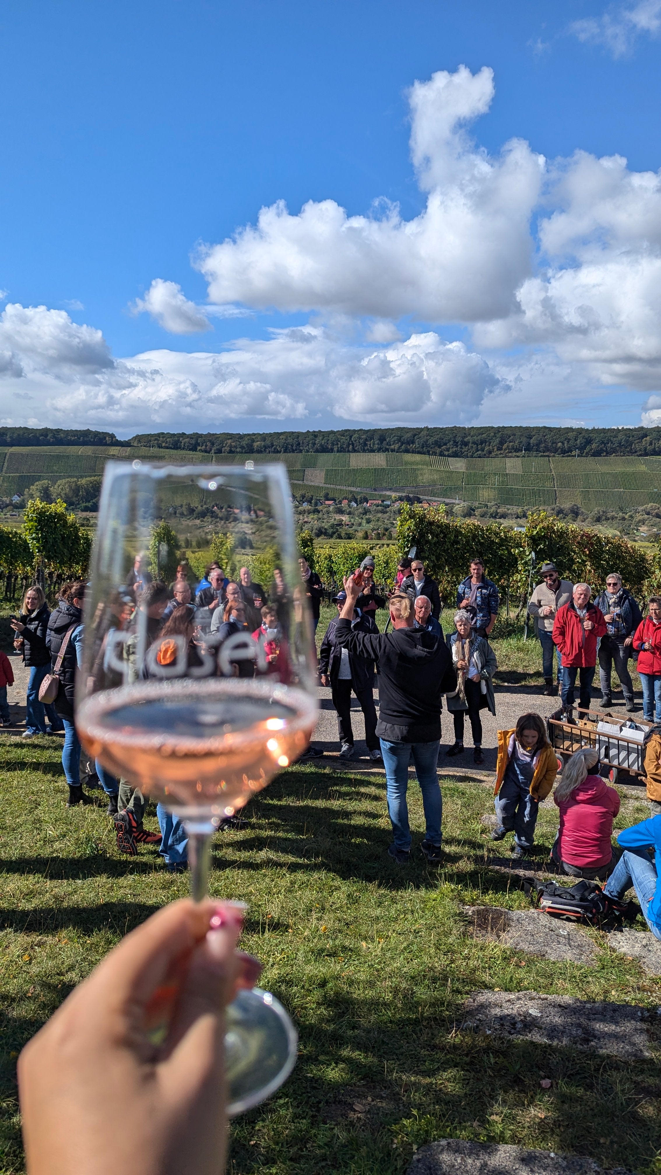 die WEINBERGs.WANDERUNG Wein erleben dort wo er wächst