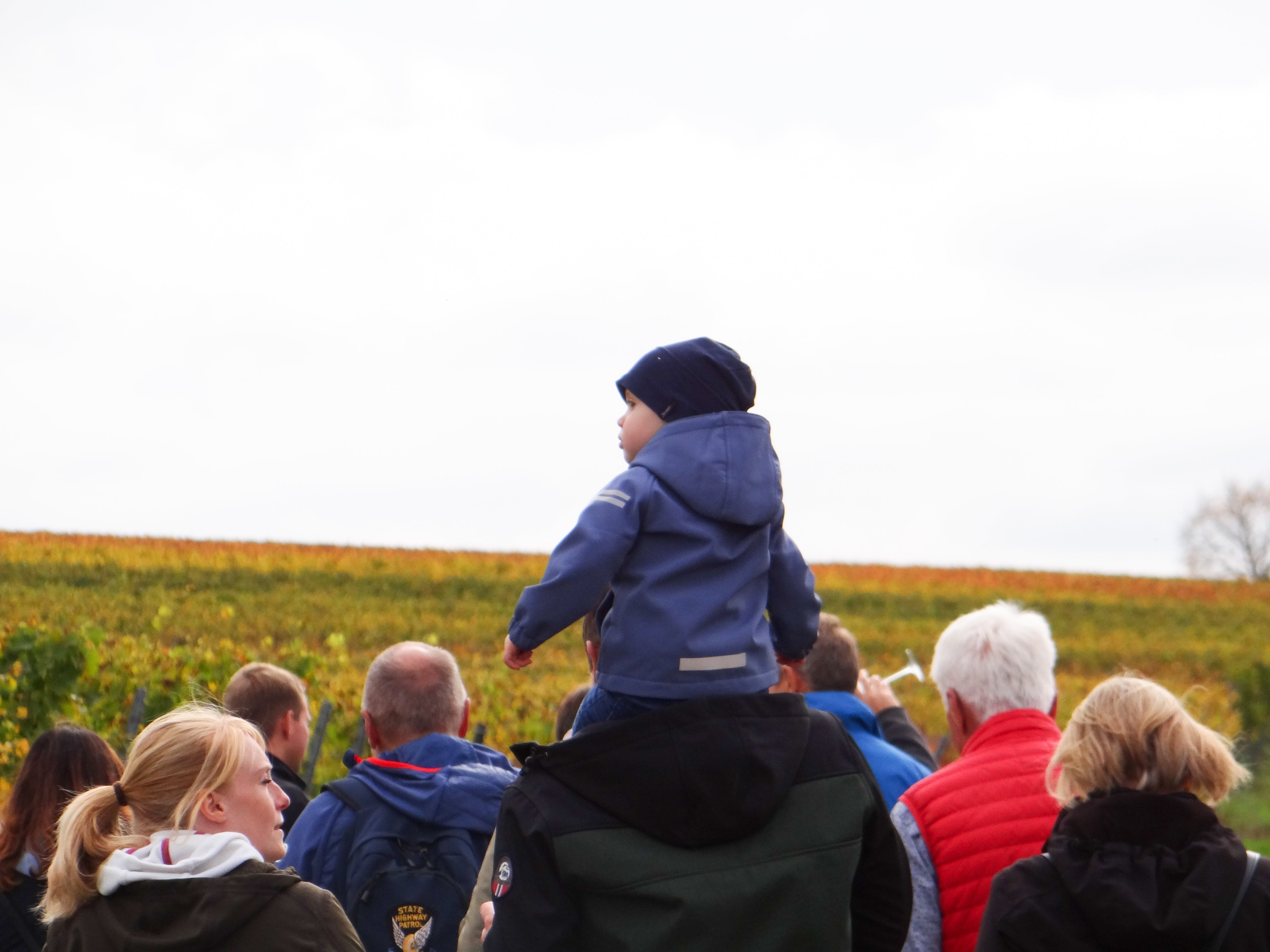 KRIMI-WEIN.WANDERUNG - das KRIMI-WEIN-ERLEBNIS