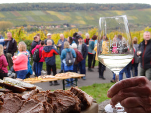 die WEINBERGs.WANDERUNG Wein erleben dort wo er wächst